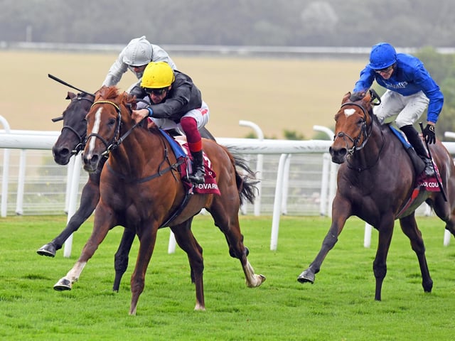 Action from Glorious week, 2019 / Picture: Malcolm Wells