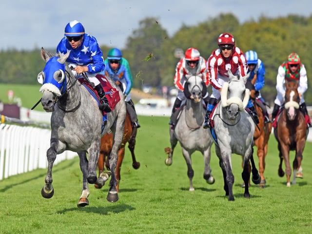 Action from Glorious week, 2019 / Picture: Malcolm Wells