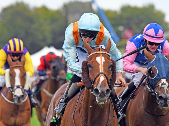 Action from Glorious week, 2019 / Picture: Malcolm Wells