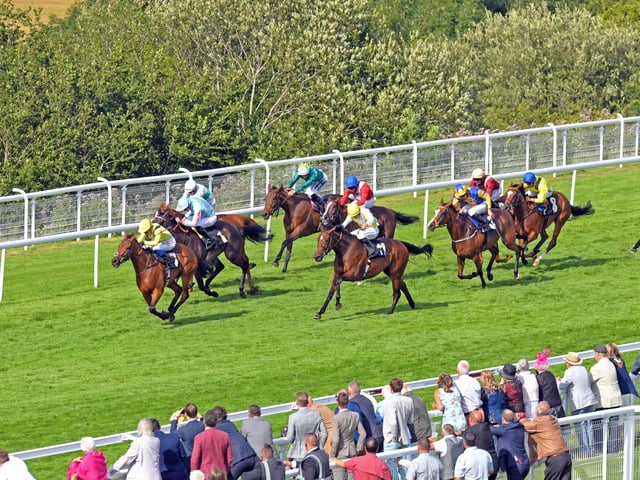 Action from Glorious week, 2019 / Picture: Malcolm Wells