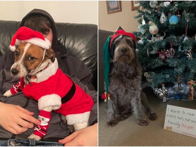 Sandra Jane Rose and Sian Eirian Mcconnon sent in these pictures
