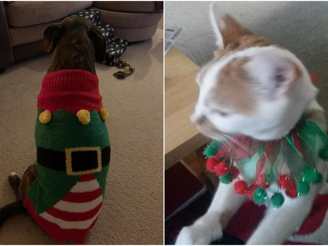 Amanda Hutton and Claire Funnell sent in these pictures