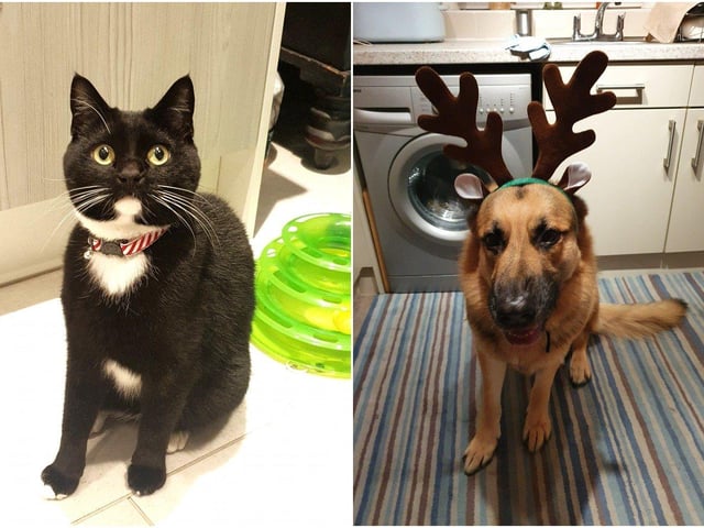 Serena Toovey and Sue Berry sent in these pictures