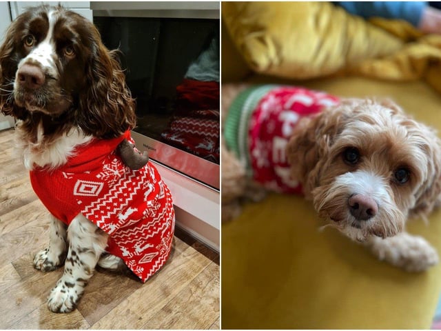 Ellie Beadell and Faye White sent in these pictures