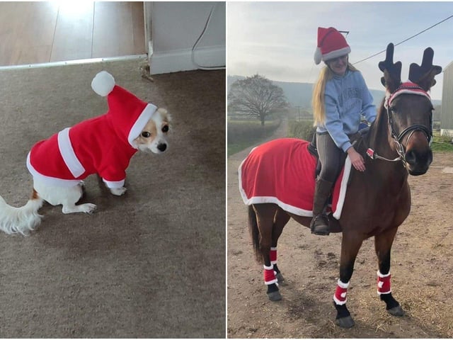 Martin Symonds and April Frogley sent in these pictures