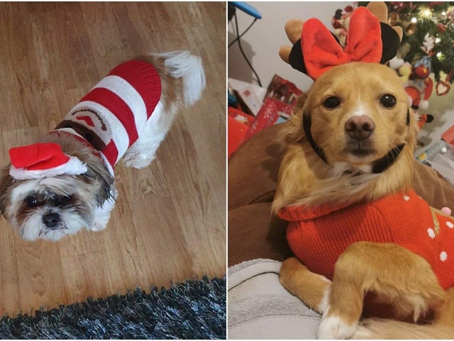 Hollie Green and Jodie Hockley sent in these pictures
