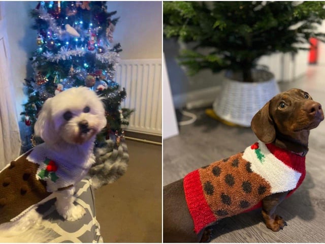 Laura Brown and Sam Dalton sent in these pictures