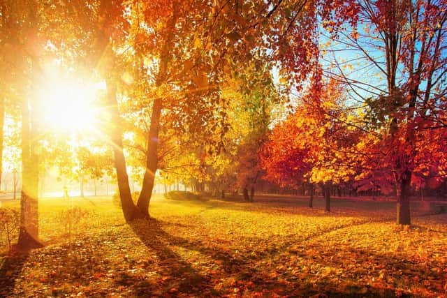 Blackpool will remain relatively dry next week but temperatures are set to drop