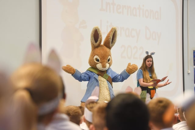 Funny bunny - Peter Rabbit holds pupils' attention during his  visit to Westminster Primary School, Blackpool