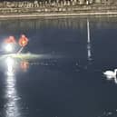 LFRS Lancashire firefighters rescued a trapped swan from a frozen lake