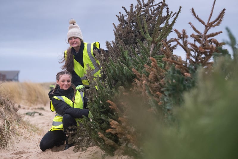 These volunteers to eager to do their bit to help with Lancashire Wildlife Trust's Christmas tree planting on St Annes beach.
