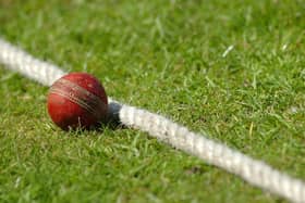 Cricket stock photo. Cricket ball against boundary  rope. (d14051261)