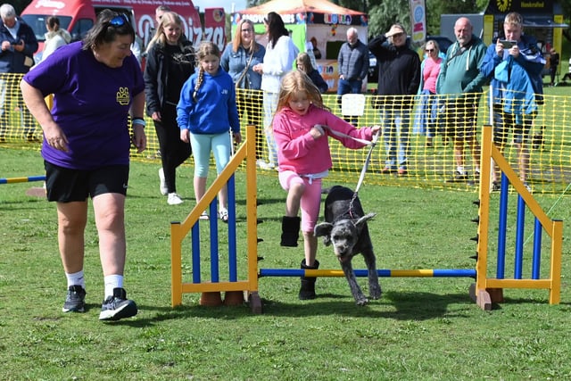 A dog and its owner showing off what they can do