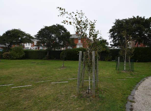 Newly planted trees in Revoe Park were among those vandalised last year