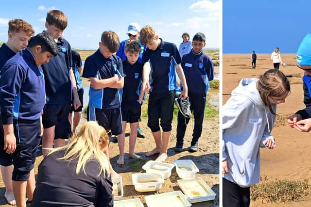 Highfield pupils are discovering the rich biodiversity of Blackpool's beaches
