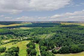 Landal Kenwick Woods is set in abundant greenery as far as the eye can see.