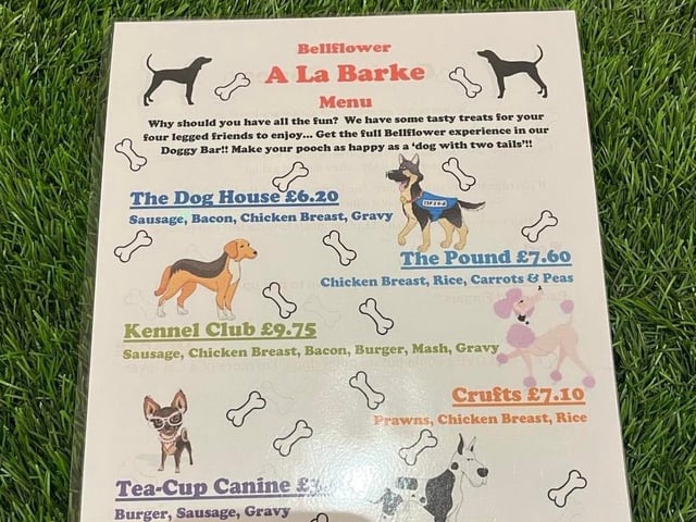 A dog-friendly pub wouldn't be complete without a menu for our four-legged diners. With plenty of choices, Zula and Finn had plenty to choose from off this A La Barke Menu we were provided with. All were specially made by the doggy-devoted chefs and brought out at the same time as our meals to distract the dogs so we could eat in peace.