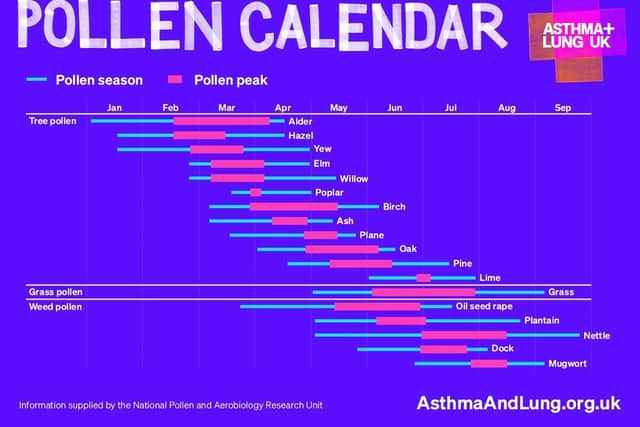 Pollen allergen calendar from Asthma and lung UK