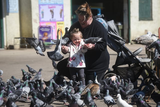 Joanne Nickson and daughter Brodie feeding the ducks and pigeons.