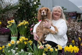 Dog Romeo and customer at Dobbies