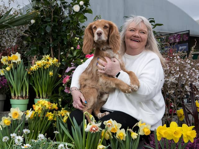 Dog Romeo and customer at Dobbies