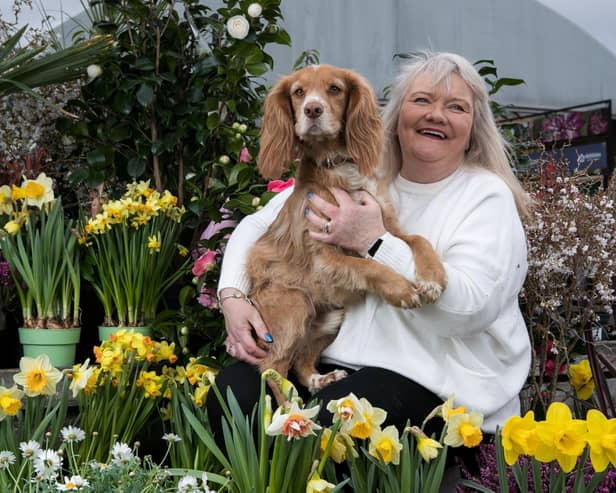 Dog Romeo and customer at Dobbies