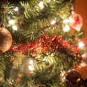 A study by Betway has named Blackpool as the third cheapest place to buy a Christmas trees in the UK