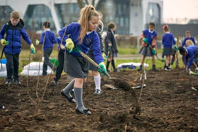 Children planting the tiny forest - picture Duncan Elliott