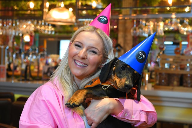 In 2018, the dachshund was ranked the fifth most popular dog breed in the UK.
Pictured: Shae Harrison with Leffe