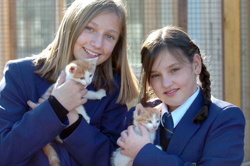 Ellie Driffield and Rosie Taylor of Highfield High School on a visit to Feline Welfare, Marton