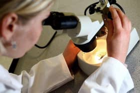 January is Cervical Cancer Awareness Month – a national campaign aimed at highlighting the symptoms and promoting uptake of cervical screenings.