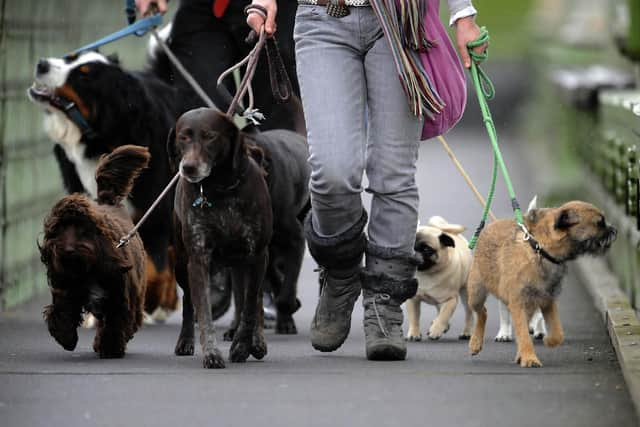 A record number of dog bite wounds were treated in hospitals in Blackpool last year, new figures show (Credit: Rebecca Naden/ PA)