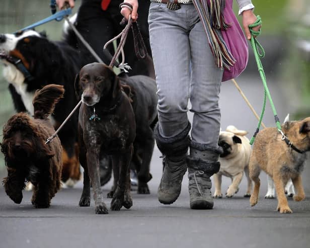 A record number of dog bite wounds were treated in hospitals in Blackpool last year, new figures show (Credit: Rebecca Naden/ PA)