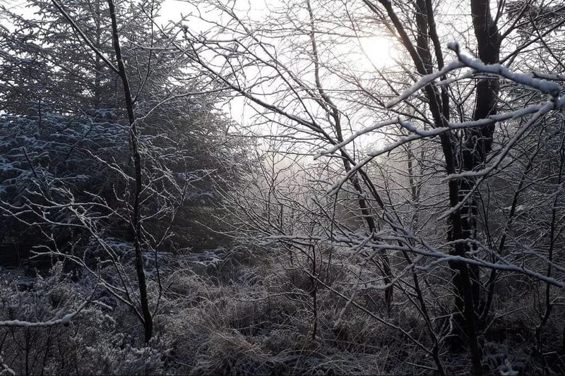 Best New Year's Day walks in Lancashire including Tolkien Trail