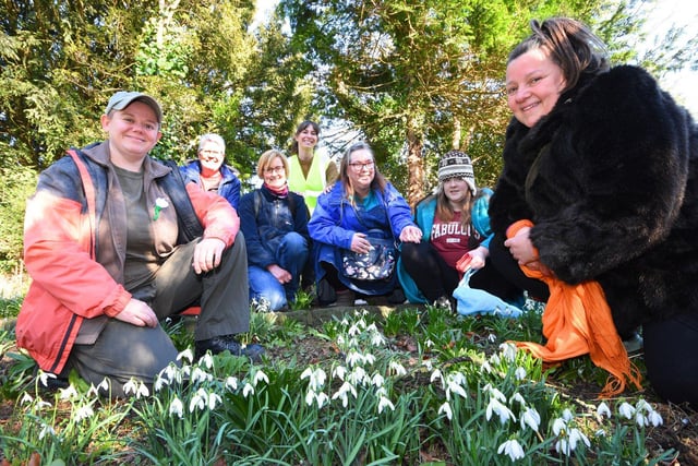 Chrissie Robinson, Denise Robinson, Fiona Colley, Nancy Pout, secretary of Greatham in Bloom, Mandy Winter with Charlotte and Kirsten Luckins from Tees Women Poets enjoy a day amongst the snowdrops.