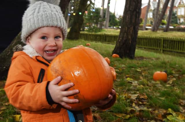 Finlay Saynor, two, has fun in the pumpkin patch.