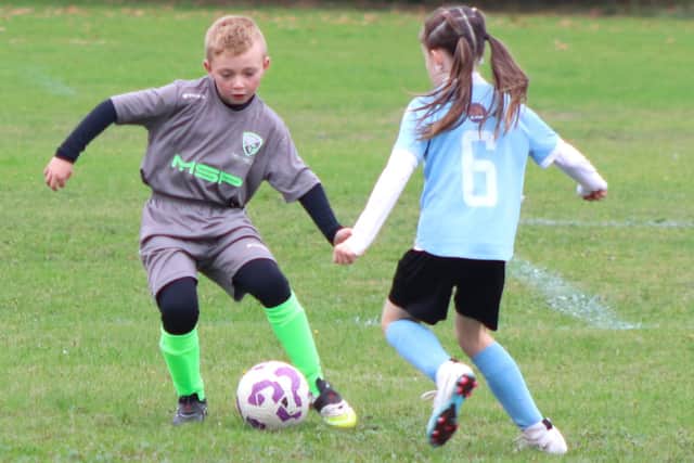 West Coast Sports Falcons and CN Sports Eagles showed their rapid progress Photo: Karen Tebbutt
