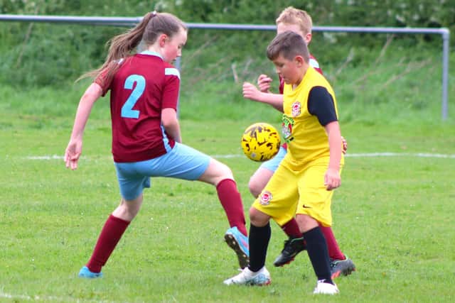Lytham Junior Vipers and Blackpool Wren Rovers Reds look forward to summer tournaments Picture: Karen Tebbutt
