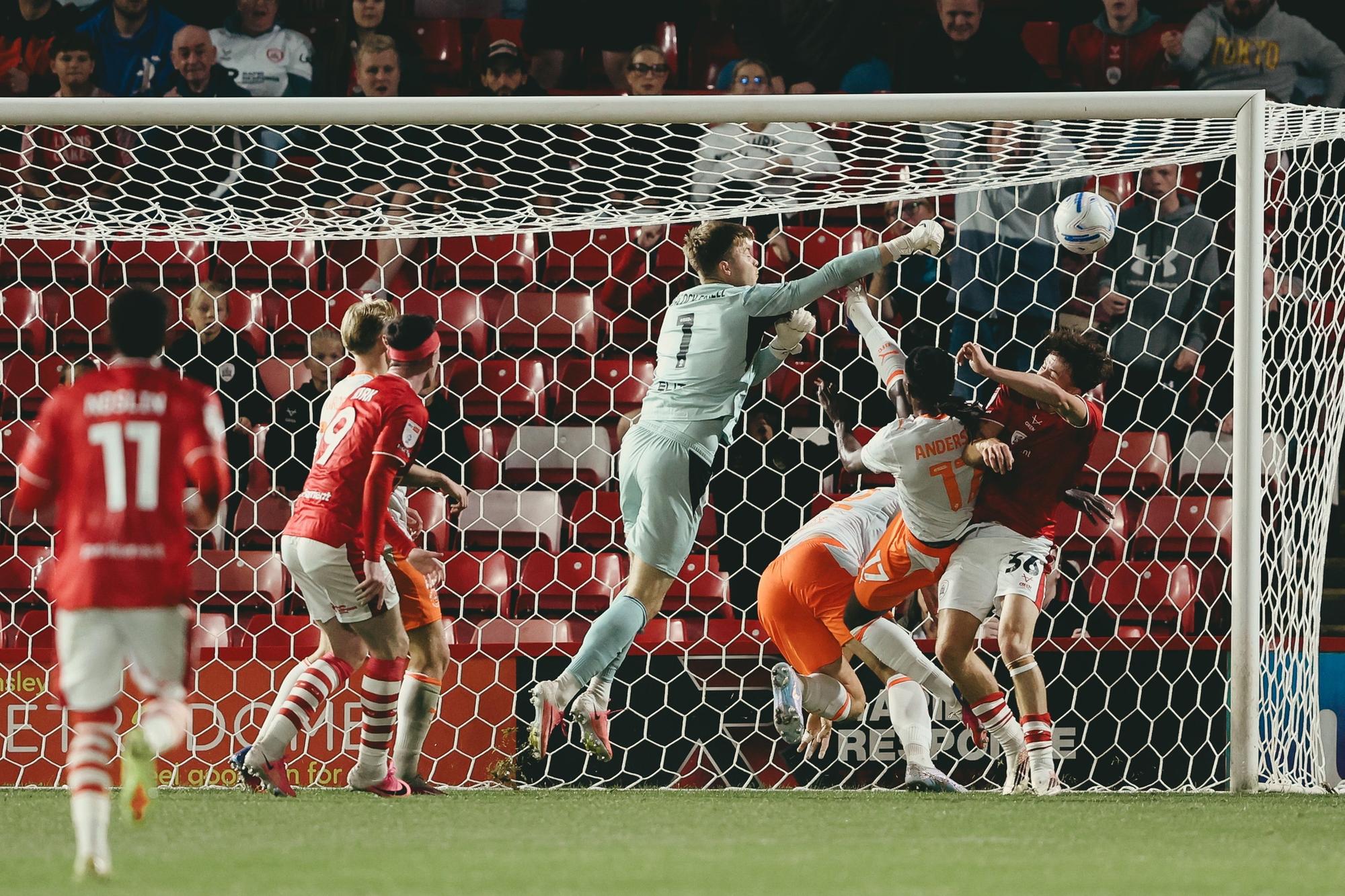 Bailey Peacock-Farrell has been impressive between the sticks so far this season.