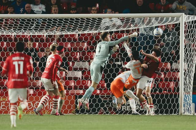 Bailey Peacock-Farrell has been impressive between the sticks so far this season.