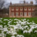 Snowdrops in the  grounds of Lytham Hall.