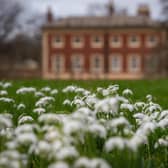 Snowdrops in the  grounds of Lytham Hall.