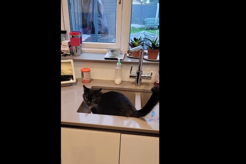 From Louise Holden - Helping me wash up