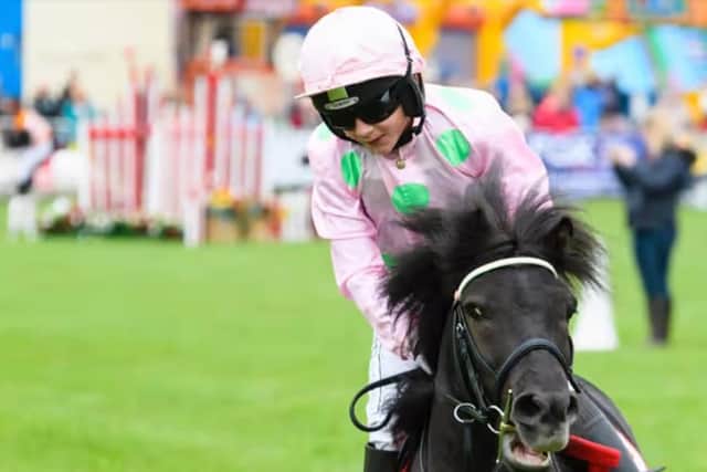 Action from the Shetland Pony Grand National at the the Royal Lancashire Agricultural Show 2021. Photo: Kelvin Stuttard