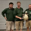 Safely rescued and back home: The pelican with zoo keepers Jason, Brendan, Khaled and Dan