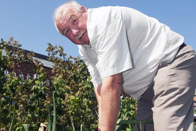 Tony Ford on his allotment