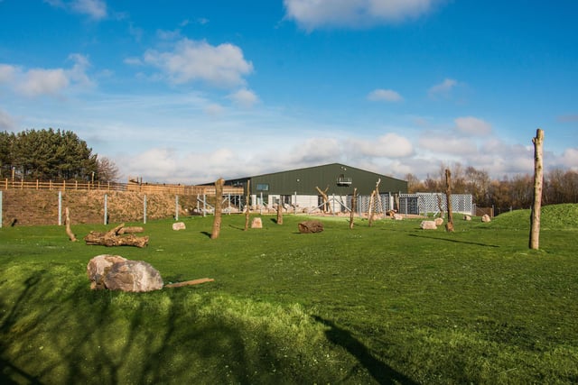 In 2018 the zoo announced that it was set to become home to a herd of elephants from Twycross Zoo following the completion of its multi-million pound Project Elephant development (pictured)