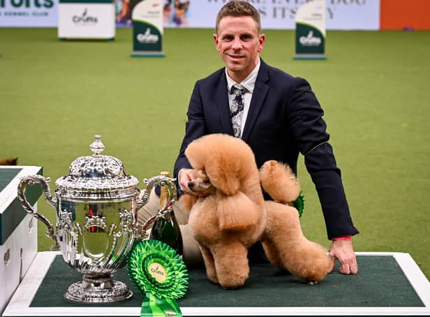 Tom Isherwood and Waffle at Crufts 2022. Picture by Sandy Young, Flick.digital