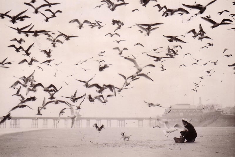 A man feeding seagulls on Blackpool Beach
