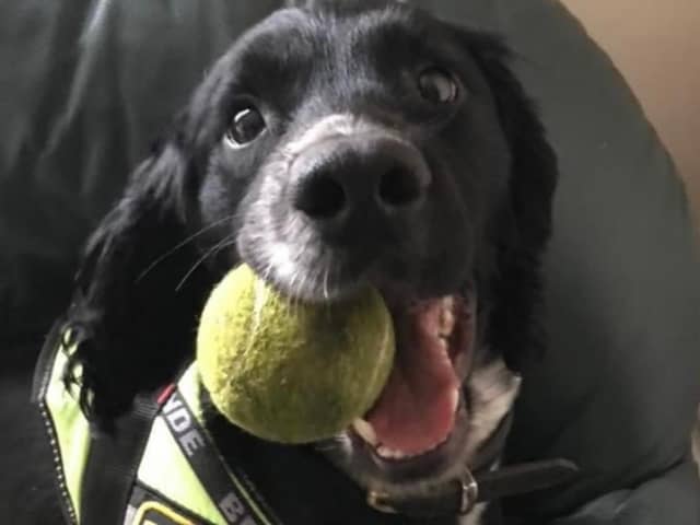 Lancashire Police Dog Jett passed away following a short battle with cancer.